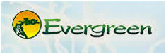 Evergreen Herbs